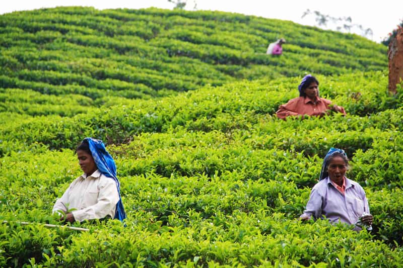 Sri Lanka