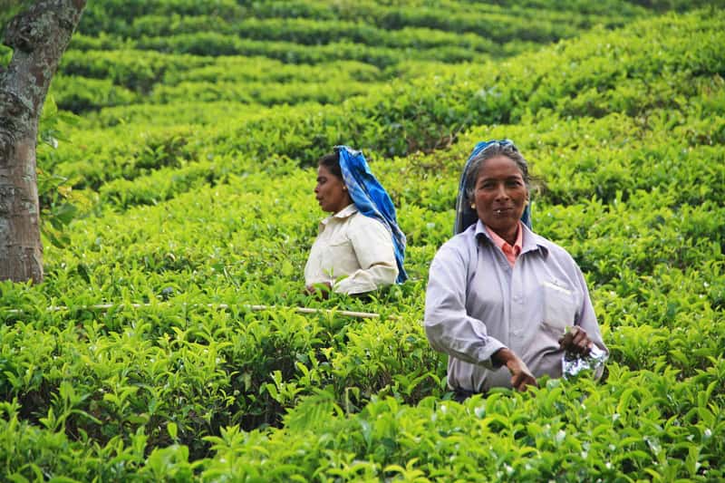 Sri Lanka