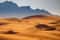 Сафари ранним утром - как просыпается пустыня