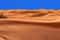 Из Шарджи: экстремальное сафари в пустыне
