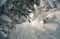 Катание на снегоходах по сахалинским сопкам