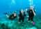 Дайвинг в Красном море: путешествие в подводный мир