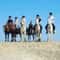 Прогулки на лошадях в Хургаде для новичков и опытых всадников