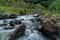 Аргунское ущелье в мини-группе: колыбель вайнахов и живописные водопады
