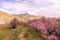 Путешествие в Хызы: Леденцовые горы, Розовое озеро и гора Бешбармаг