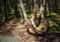 Куршская коса из Зеленоградска: Фрингилла, Танцующий лес и Высота Эфа