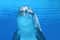 Саттаях риф - дом дельфинов