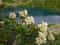 Прекрасные Дуккинские озёра в Архызе
