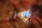 Парк Бейт-Гуврин - тайны подземных пещер