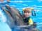 Плавание с дельфинами (30 минут)