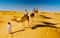 VIP сафари на верблюдах к Синайским горам