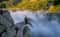 «Двойная радость»: ущелье Дарданеллы и водопад Неожиданный (Горбатый)