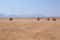 Индивидуальное мото-сафари: катание по пустыне