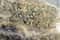 Гобустан, грязевые вулканы и караван-сарай XV века