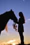 Прогулка на лошадях и общение с животными