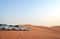 Утреннее сафари в Абу-Даби