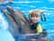 Плавание с дельфинами (5 минут)