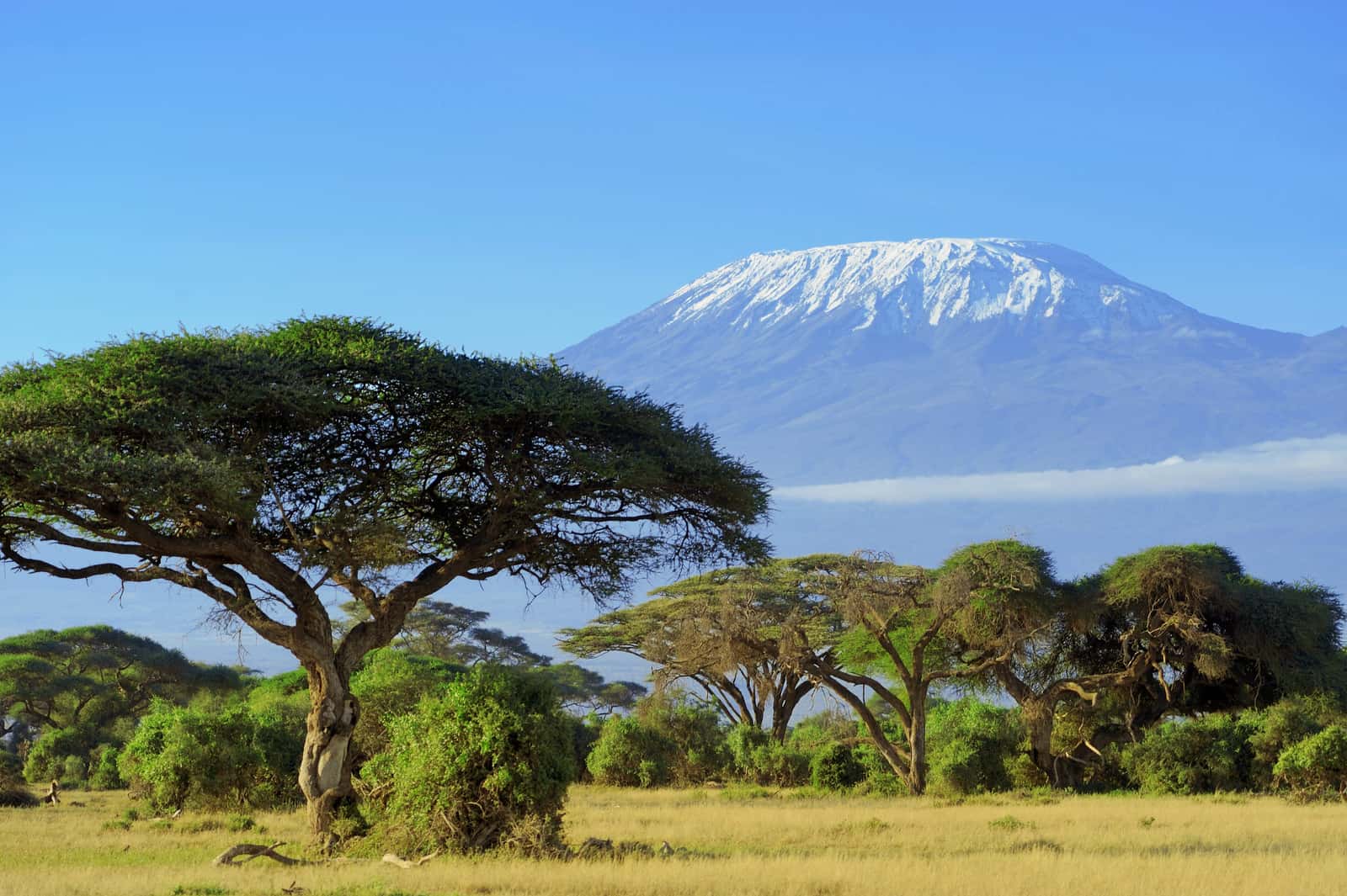 горы в танзании